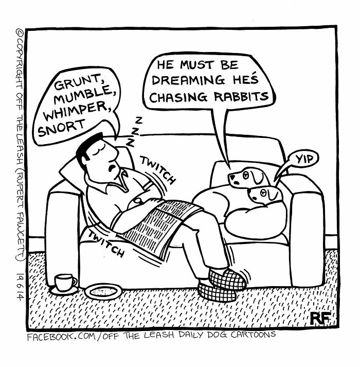 If You’re A Dog Owner, These 30 New “Off The Leash” Cartoons Might Totally Hit Home If You’re A Dog Owner, These 30 New “Off The Leash” Cartoons Might Totally Hit Home