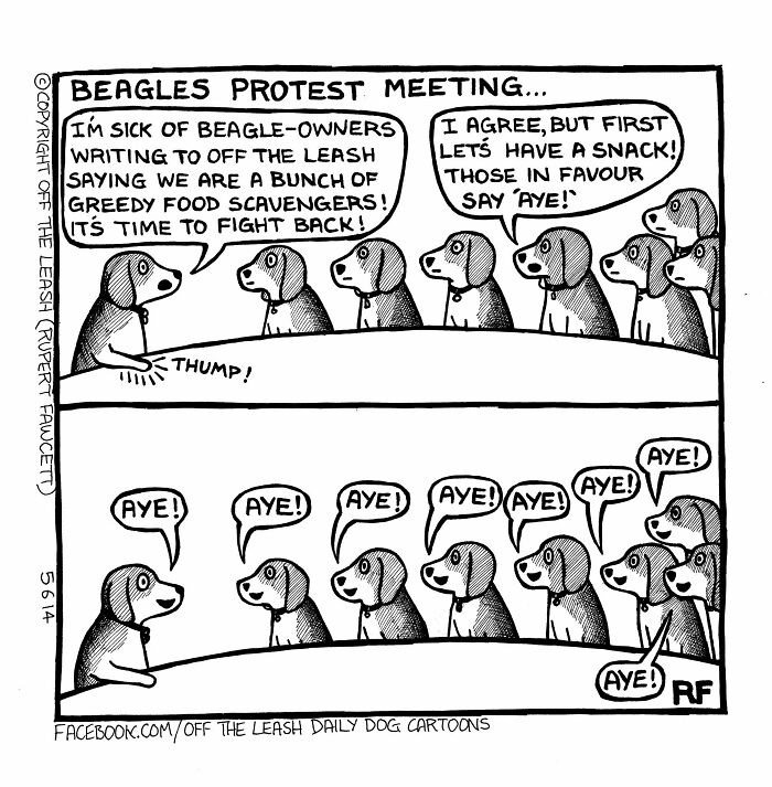 If You’re A Dog Owner, These 30 New “Off The Leash” Cartoons Might Totally Hit Home If You’re A Dog Owner, These 30 New “Off The Leash” Cartoons Might Totally Hit Home