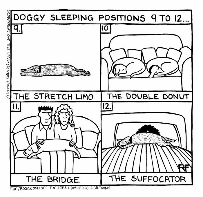 If You’re A Dog Owner, These 30 New “Off The Leash” Cartoons Might Totally Hit Home If You’re A Dog Owner, These 30 New “Off The Leash” Cartoons Might Totally Hit Home