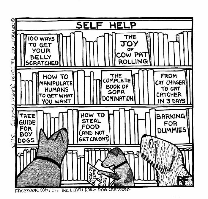 If You’re A Dog Owner, These 30 New “Off The Leash” Cartoons Might Totally Hit Home If You’re A Dog Owner, These 30 New “Off The Leash” Cartoons Might Totally Hit Home