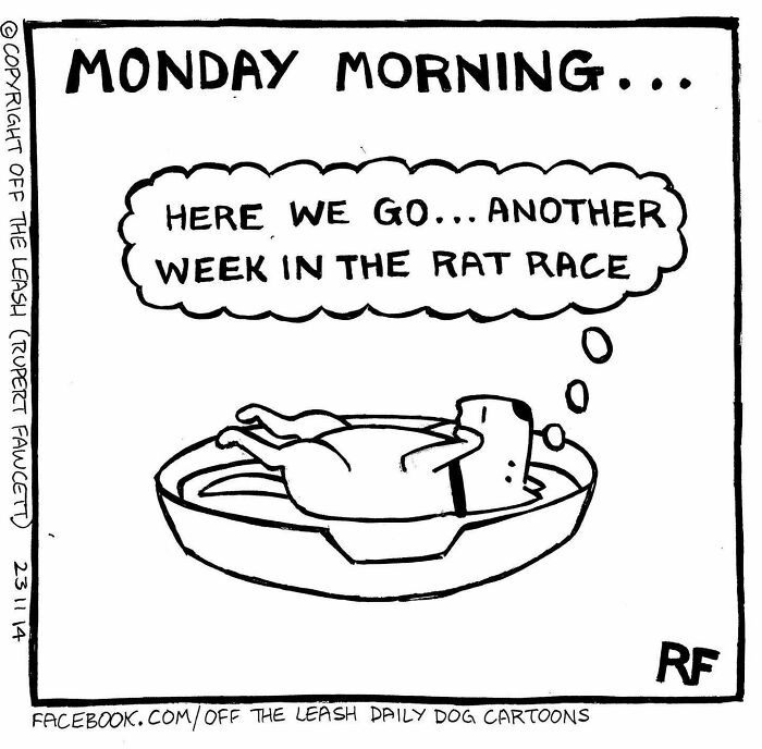 If You’re A Dog Owner, These 30 New “Off The Leash” Cartoons Might Totally Hit Home If You’re A Dog Owner, These 30 New “Off The Leash” Cartoons Might Totally Hit Home