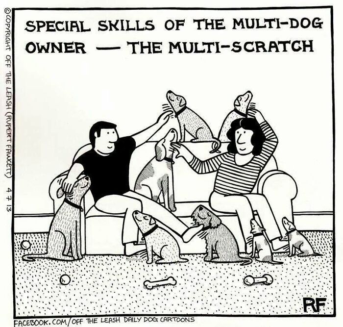 If You’re A Dog Owner, These 30 New “Off The Leash” Cartoons Might Totally Hit Home If You’re A Dog Owner, These 30 New “Off The Leash” Cartoons Might Totally Hit Home