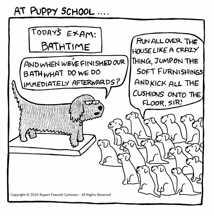 If You’re A Dog Owner, These 30 New “Off The Leash” Cartoons Might Totally Hit Home If You’re A Dog Owner, These 30 New “Off The Leash” Cartoons Might Totally Hit Home