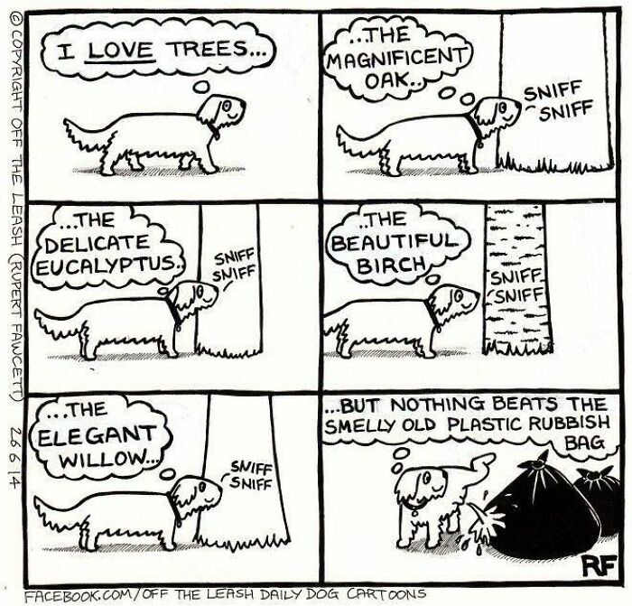 If You’re A Dog Owner, These 30 New “Off The Leash” Cartoons Might Totally Hit Home If You’re A Dog Owner, These 30 New “Off The Leash” Cartoons Might Totally Hit Home