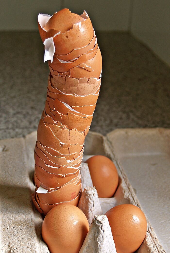 Expert Issues Warning After Man Reveals Result Of Eating 224 Eggs In A Single Week Expert Issues Warning After Man Reveals Result Of Eating 224 Eggs In A Single Week