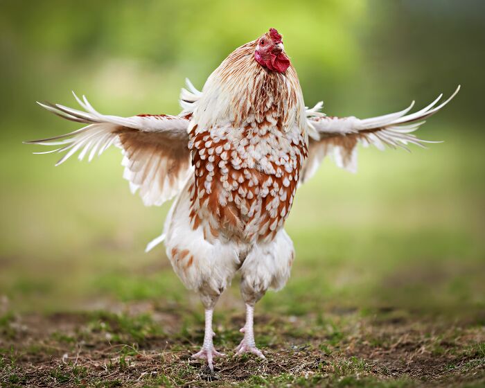 79 Cool, Interesting And Surprising Facts People Love Sharing Any Chance They Get