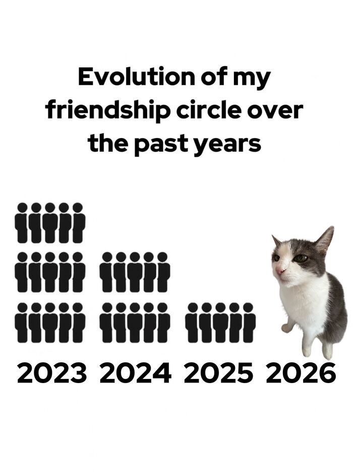 47 Purrfect Kitty Posts That Prove That These 3 Cats Were Born To Be Meme Stars