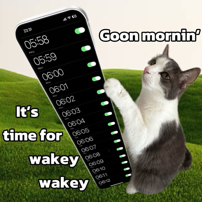 47 Purrfect Kitty Posts That Prove That These 3 Cats Were Born To Be Meme Stars