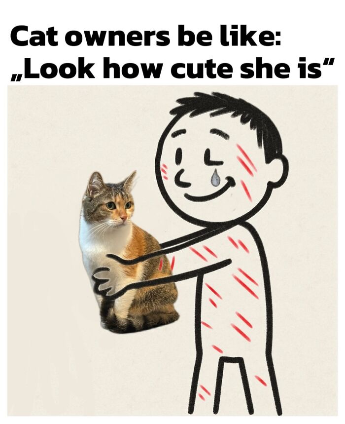 47 Purrfect Kitty Posts That Prove That These 3 Cats Were Born To Be Meme Stars