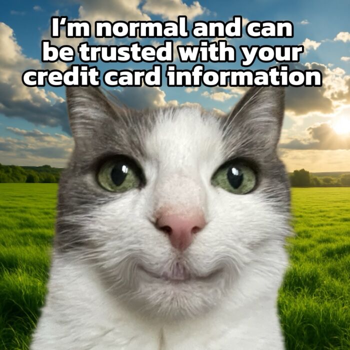 47 Purrfect Kitty Posts That Prove That These 3 Cats Were Born To Be Meme Stars