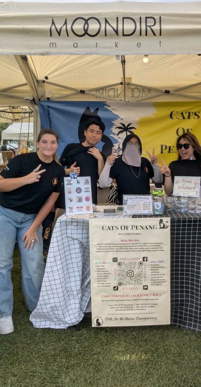 This Organization Has Helped Hundreds Of Street Cats Through Local Action And Clever Use Of Technology