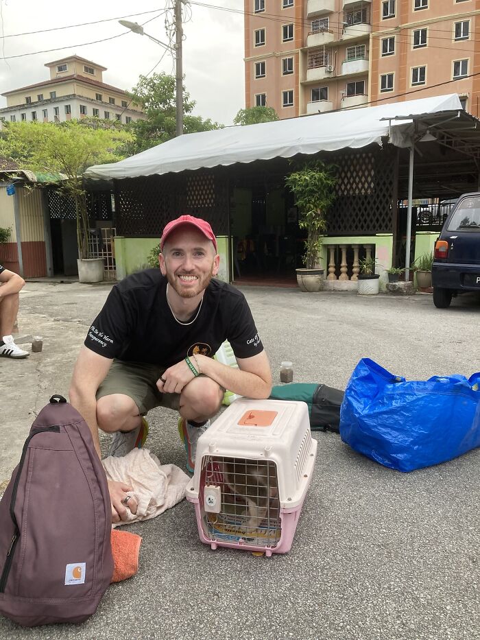 This Organization Has Helped Hundreds Of Street Cats Through Local Action And Clever Use Of Technology