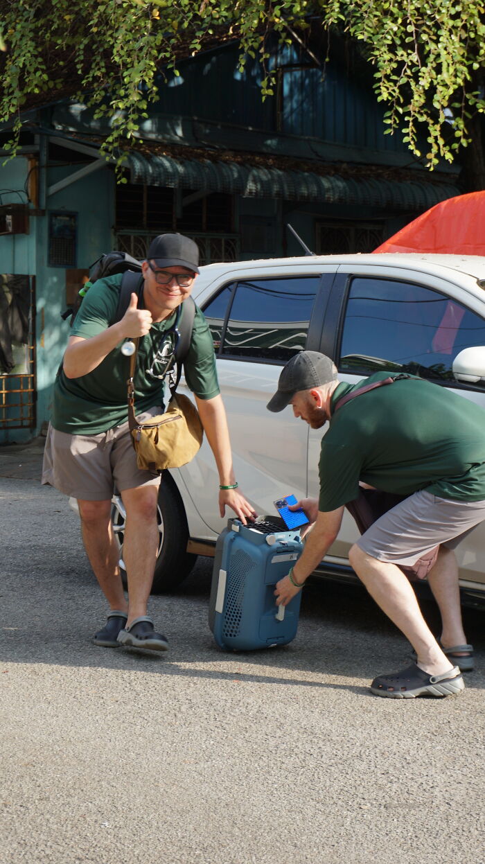 This Organization Has Helped Hundreds Of Street Cats Through Local Action And Clever Use Of Technology