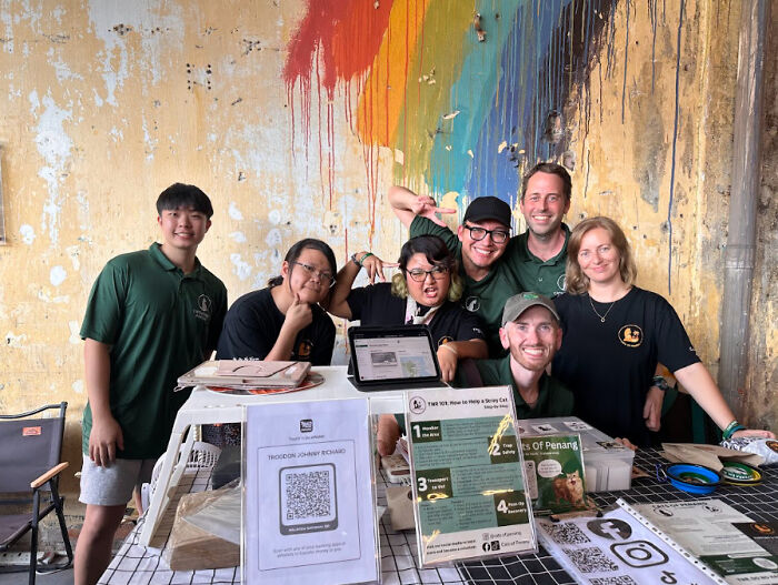 This Organization Has Helped Hundreds Of Street Cats Through Local Action And Clever Use Of Technology