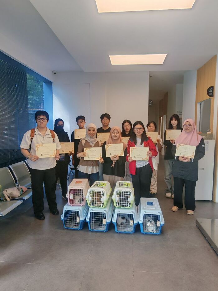 This Organization Has Helped Hundreds Of Street Cats Through Local Action And Clever Use Of Technology