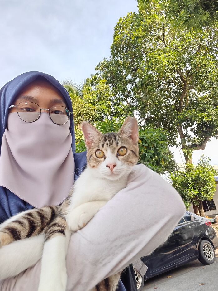 This Organization Has Helped Hundreds Of Street Cats Through Local Action And Clever Use Of Technology