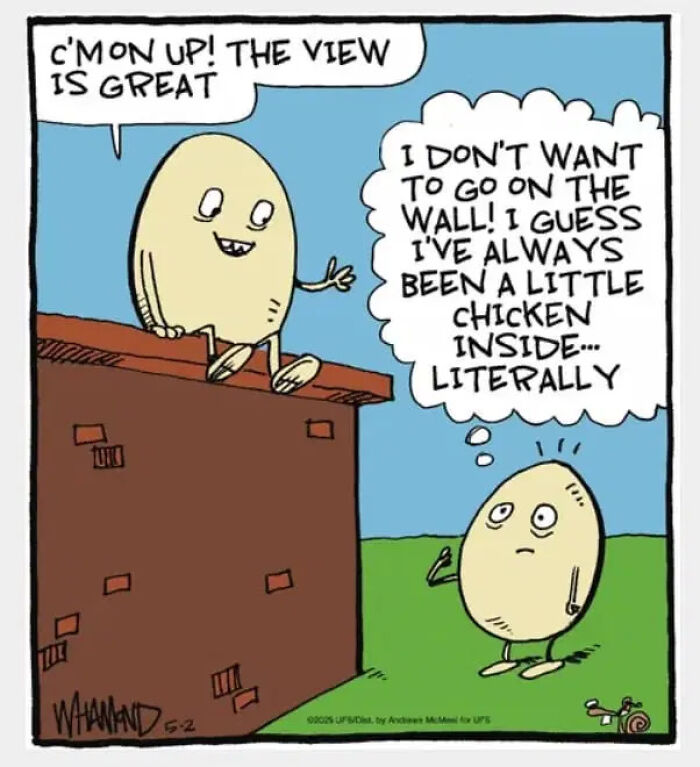 Dave Whamond’s 30 Clever Comics Prove Everyday Life Is Stranger Than Fiction