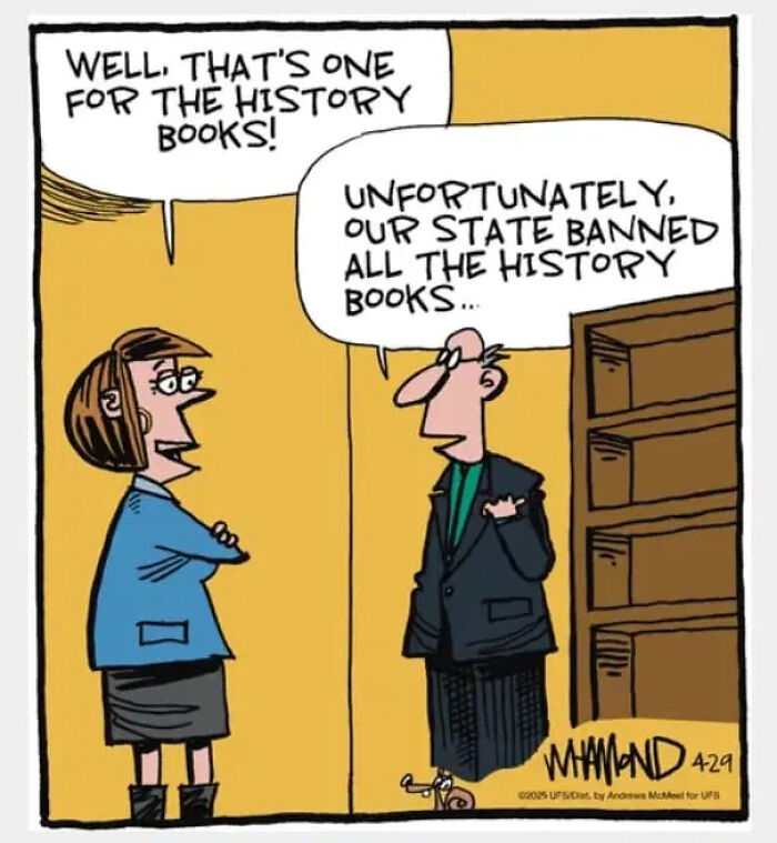 Dave Whamond’s 30 Clever Comics Prove Everyday Life Is Stranger Than Fiction
