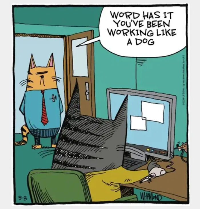 Dave Whamond’s 30 Clever Comics Prove Everyday Life Is Stranger Than Fiction