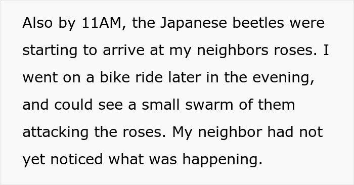 Guy Suffers Because Of Neighbor’s Petty Acts, Takes Revenge By Letting Beetles Ruin His Rose Garden