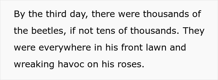 Guy Suffers Because Of Neighbor’s Petty Acts, Takes Revenge By Letting Beetles Ruin His Rose Garden