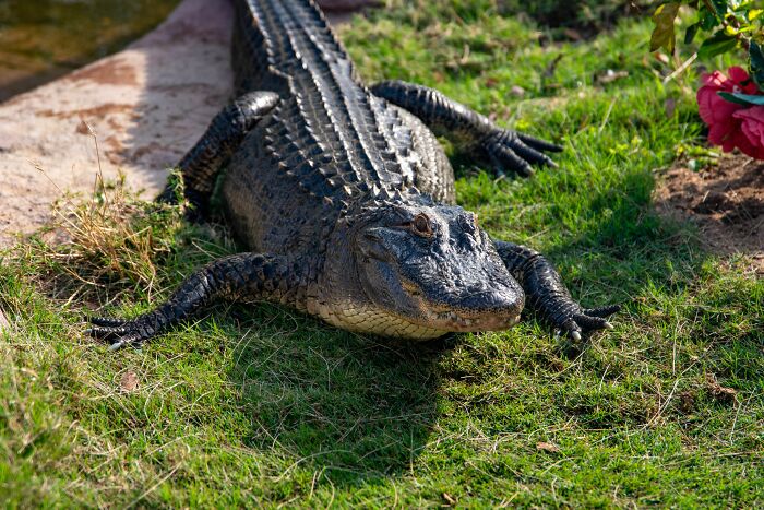 People Were Not Prepared To See And Experience These 48 Things While Visiting The US