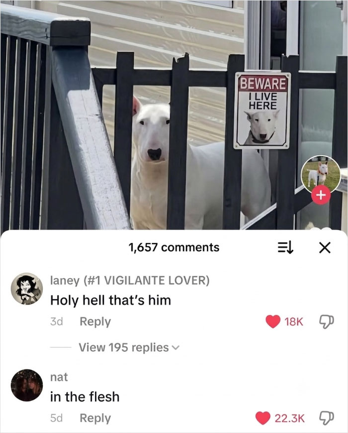 79 Savage Comments Left By People Who Have No Chill