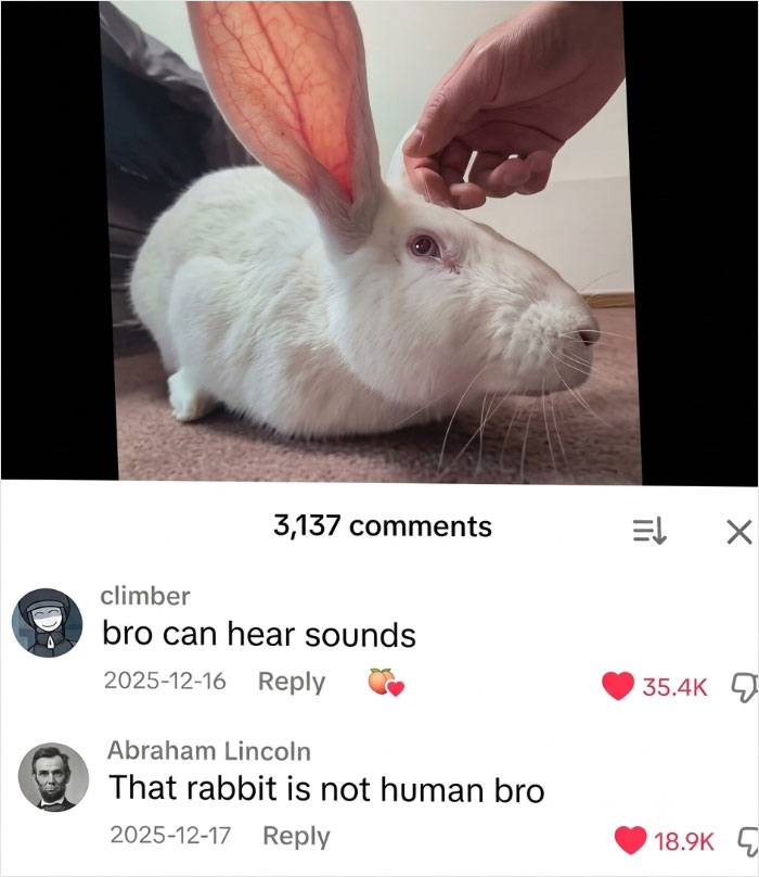79 Savage Comments Left By People Who Have No Chill