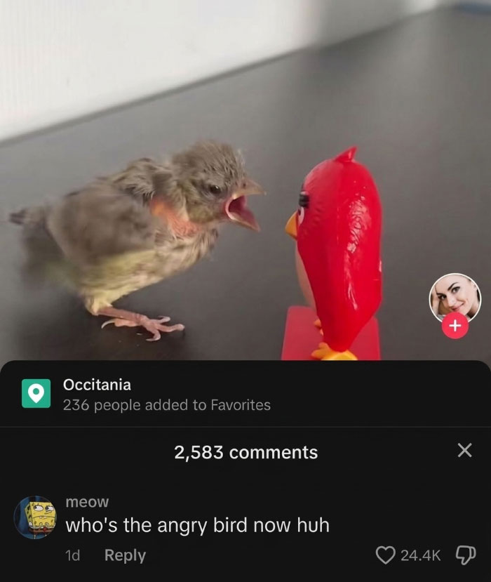 79 Savage Comments Left By People Who Have No Chill