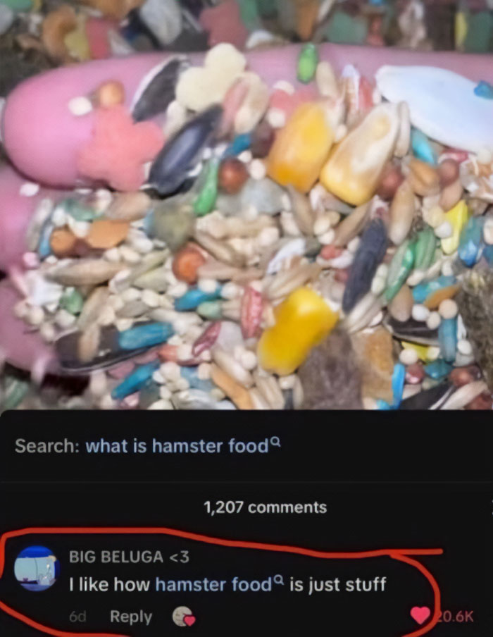 79 Savage Comments Left By People Who Have No Chill