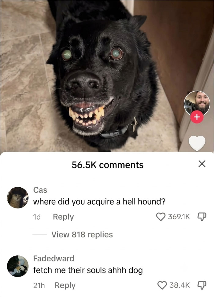 79 Savage Comments Left By People Who Have No Chill