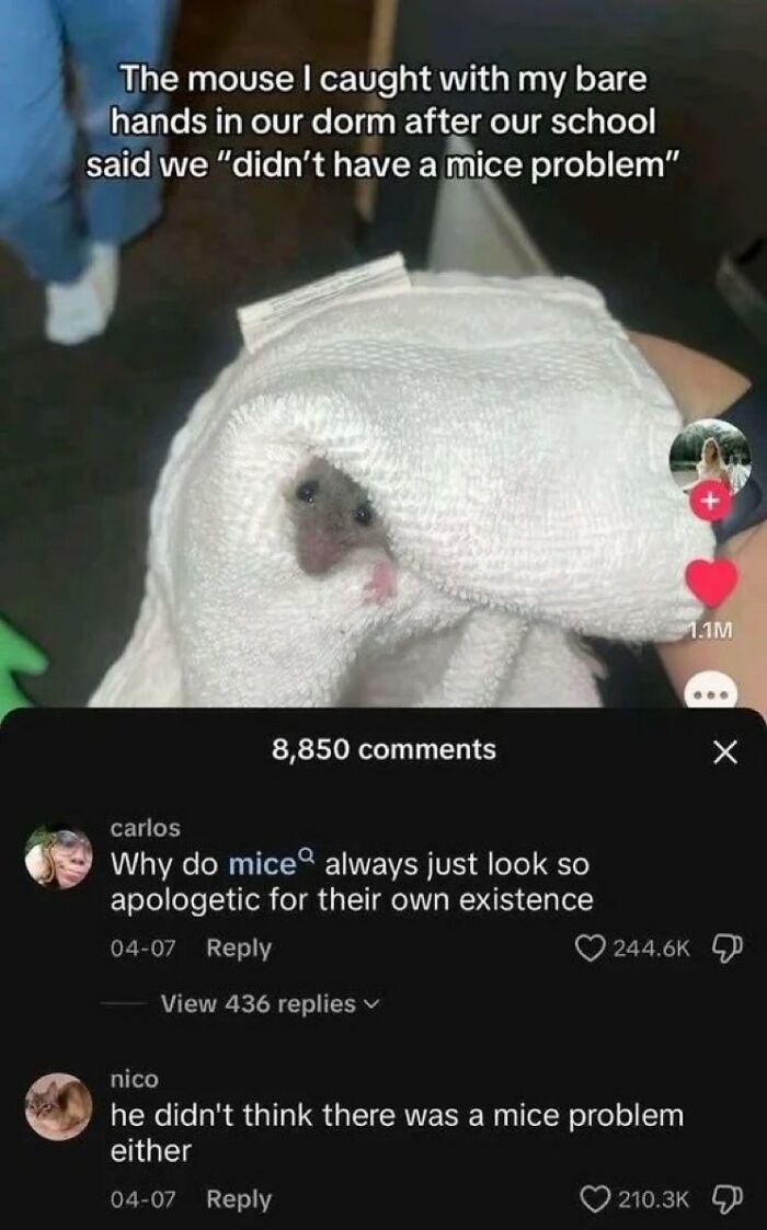79 Savage Comments Left By People Who Have No Chill