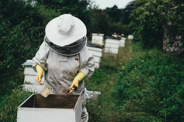 59 Unusual Jobs That People Somehow Managed To Get Hired For