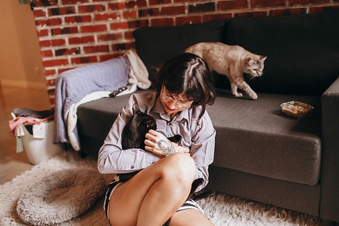 Cats Aren’t ‘Mean’: Behavior Expert Explains 15 Misunderstood Things Cats Do And Why