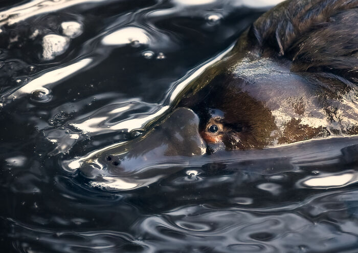27 Stunning Finalist Photos From the Beaker Street Science Photography Prize 2026