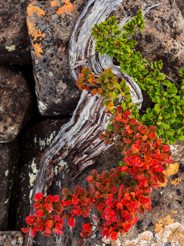 27 Stunning Finalist Photos From the Beaker Street Science Photography Prize 2026