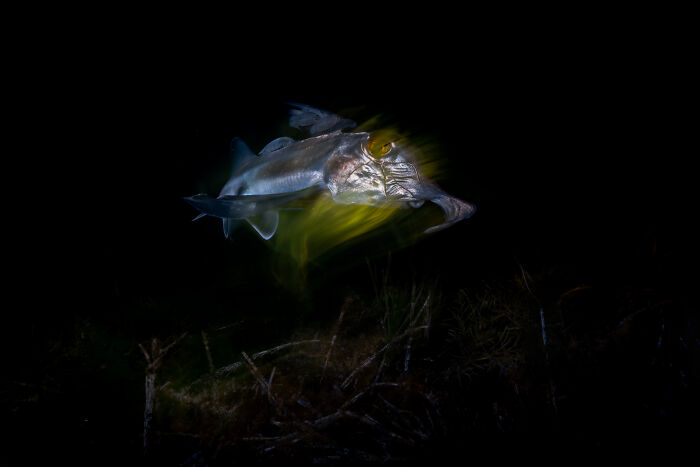 27 Stunning Finalist Photos From the Beaker Street Science Photography Prize 2026