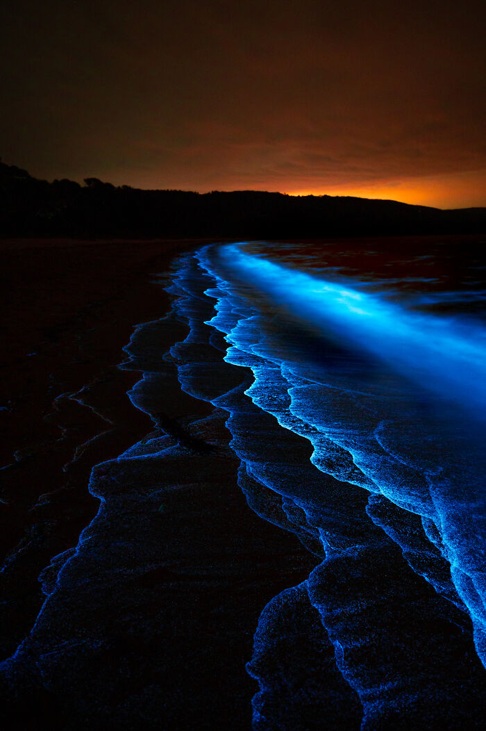 27 Stunning Finalist Photos From the Beaker Street Science Photography Prize 2026