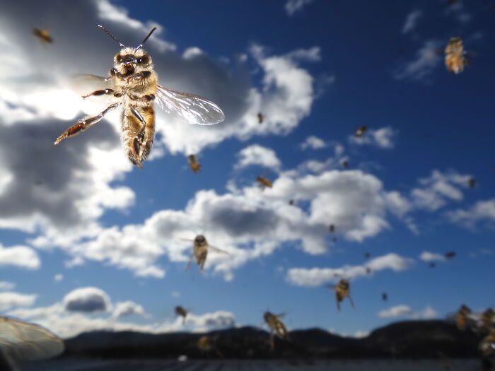 27 Stunning Finalist Photos From the Beaker Street Science Photography Prize 2026