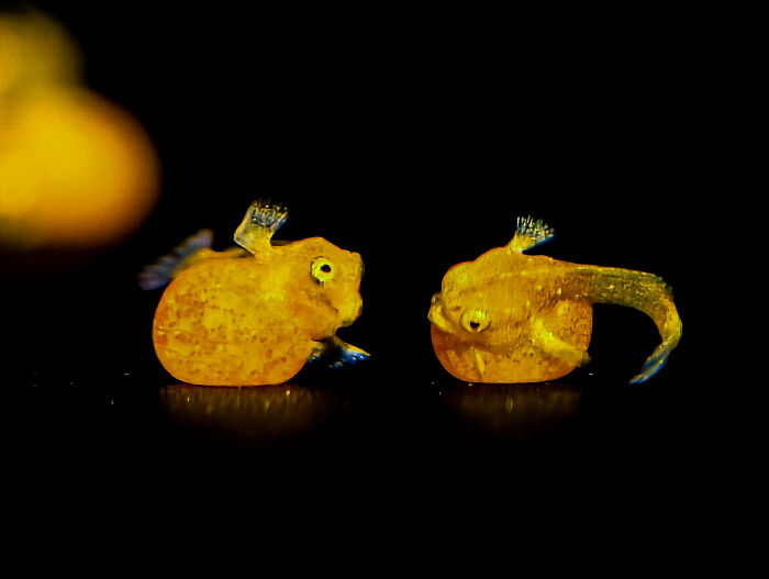27 Stunning Finalist Photos From the Beaker Street Science Photography Prize 2026