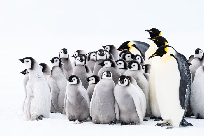 27 Stunning Finalist Photos From the Beaker Street Science Photography Prize 2026