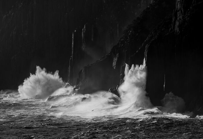 27 Stunning Finalist Photos From the Beaker Street Science Photography Prize 2026
