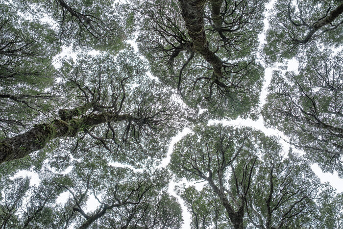 27 Stunning Finalist Photos From the Beaker Street Science Photography Prize 2026