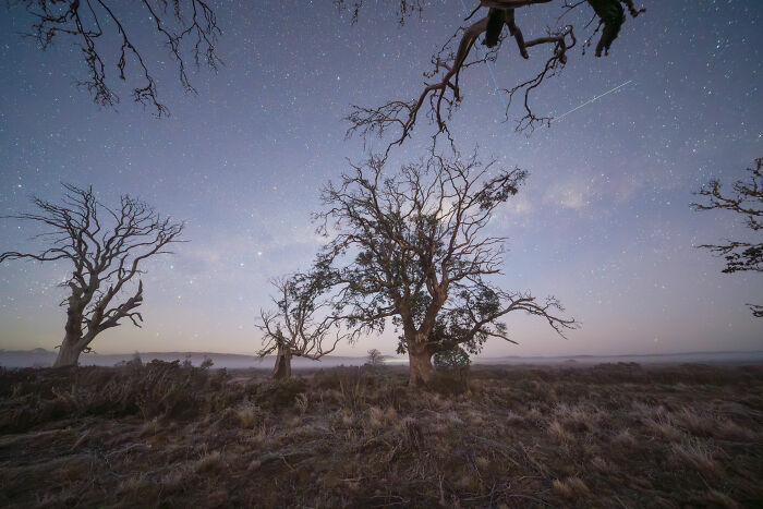 27 Stunning Finalist Photos From the Beaker Street Science Photography Prize 2026