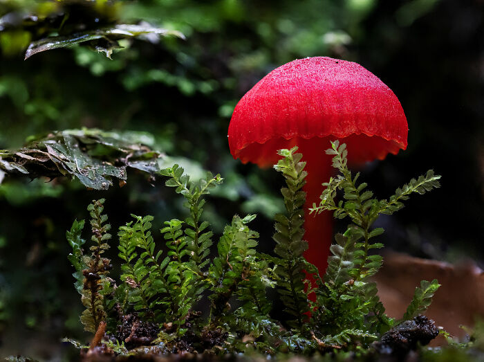 27 Stunning Finalist Photos From the Beaker Street Science Photography Prize 2026