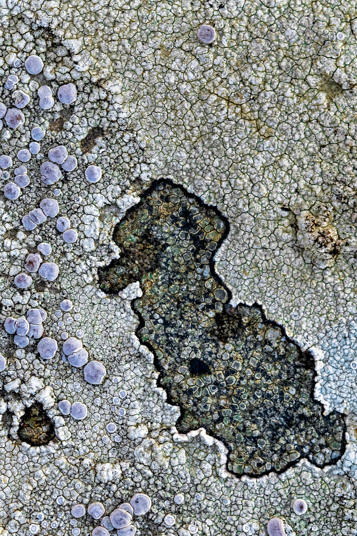 27 Stunning Finalist Photos From the Beaker Street Science Photography Prize 2026