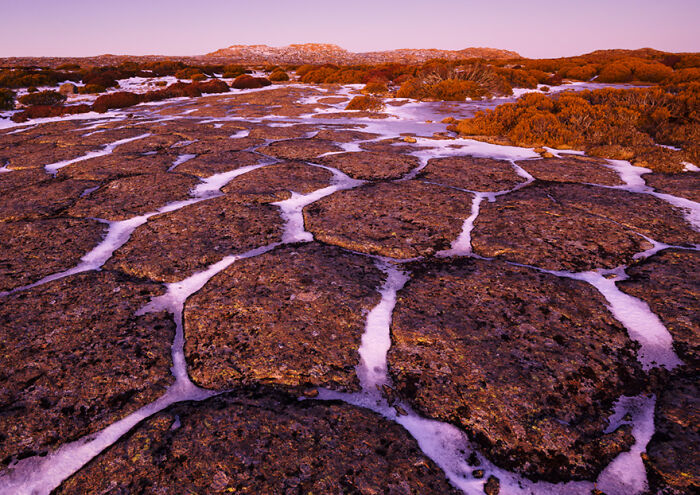 27 Stunning Finalist Photos From the Beaker Street Science Photography Prize 2026