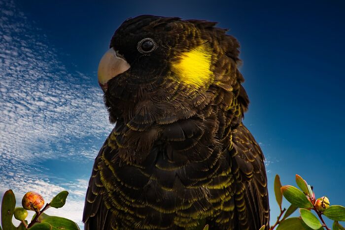 1839 Photography Awards: 22 Winning Animal Shots Worth Seeing