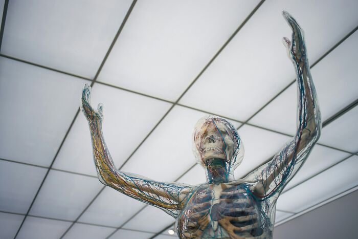 &ldquo;How Does The Body Work?&rdquo;: Score 23/27 To Prove Yourself In This Basic Medical Knowledge Quiz