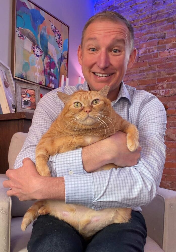 This Viral Overweight Rescue Cat Finally Found A Forever Home After Winning Hearts Around The World